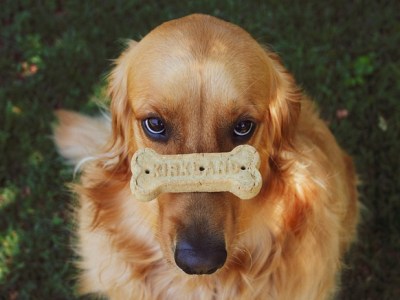 How I Spent My Winter&nbsp;Mornings