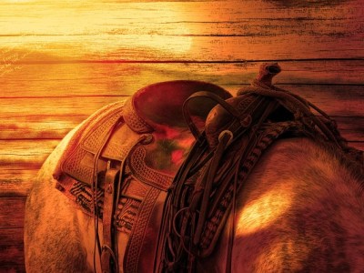 To Those Burrs In Our&nbsp;Saddle